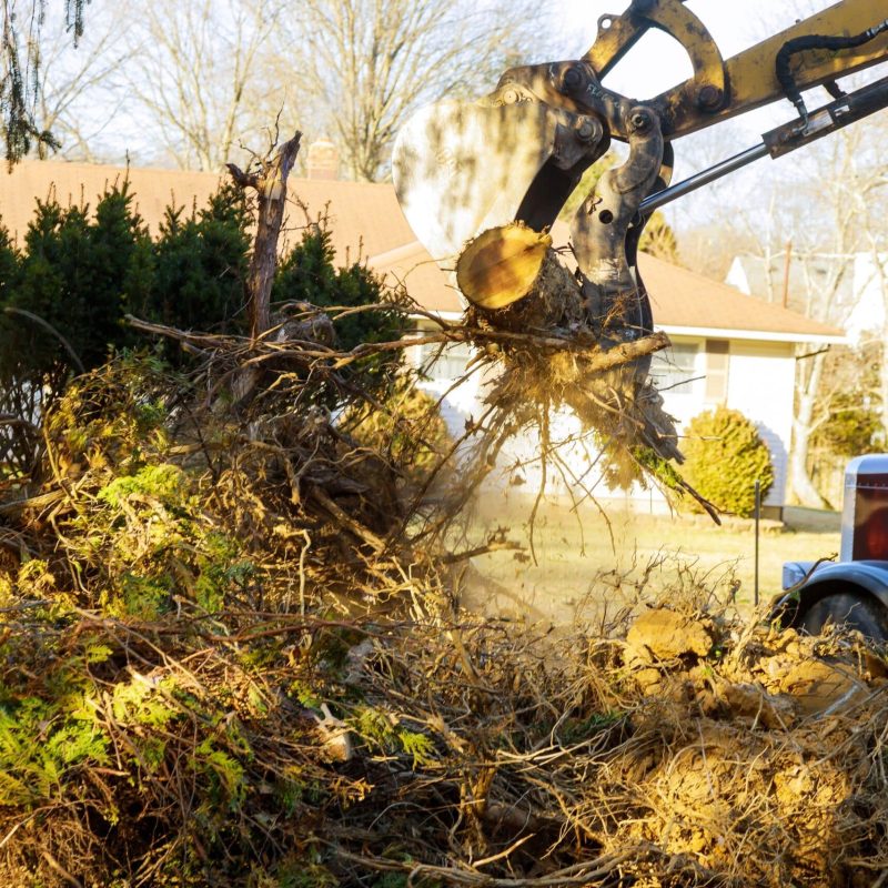 land-clearing-64